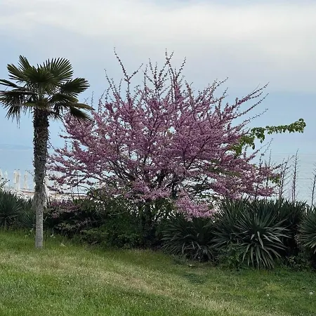 Seaview - 10 Meters To The וארנה