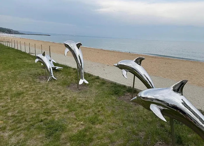 Seaview - 10 Meters To The Apartment